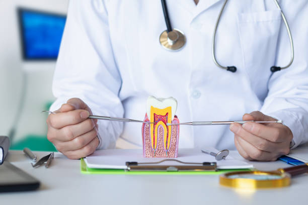 Best Emergency Dental Extractions in El Lago, TX